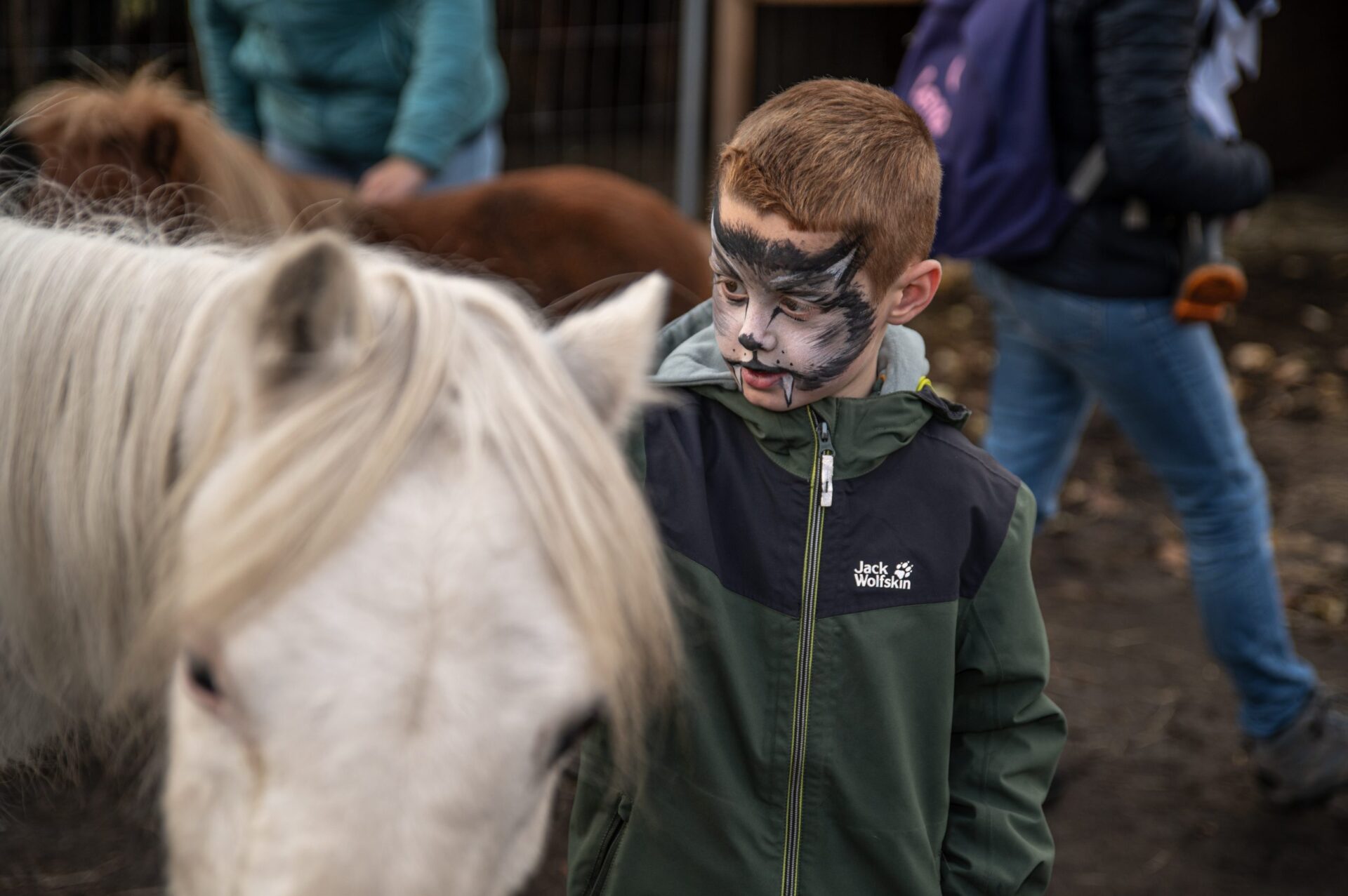 Geshminkte jongen aait paard - Equispoor - zorgboerderij - Leopoldsburg - Ontmoeten voor kinderen met autisme