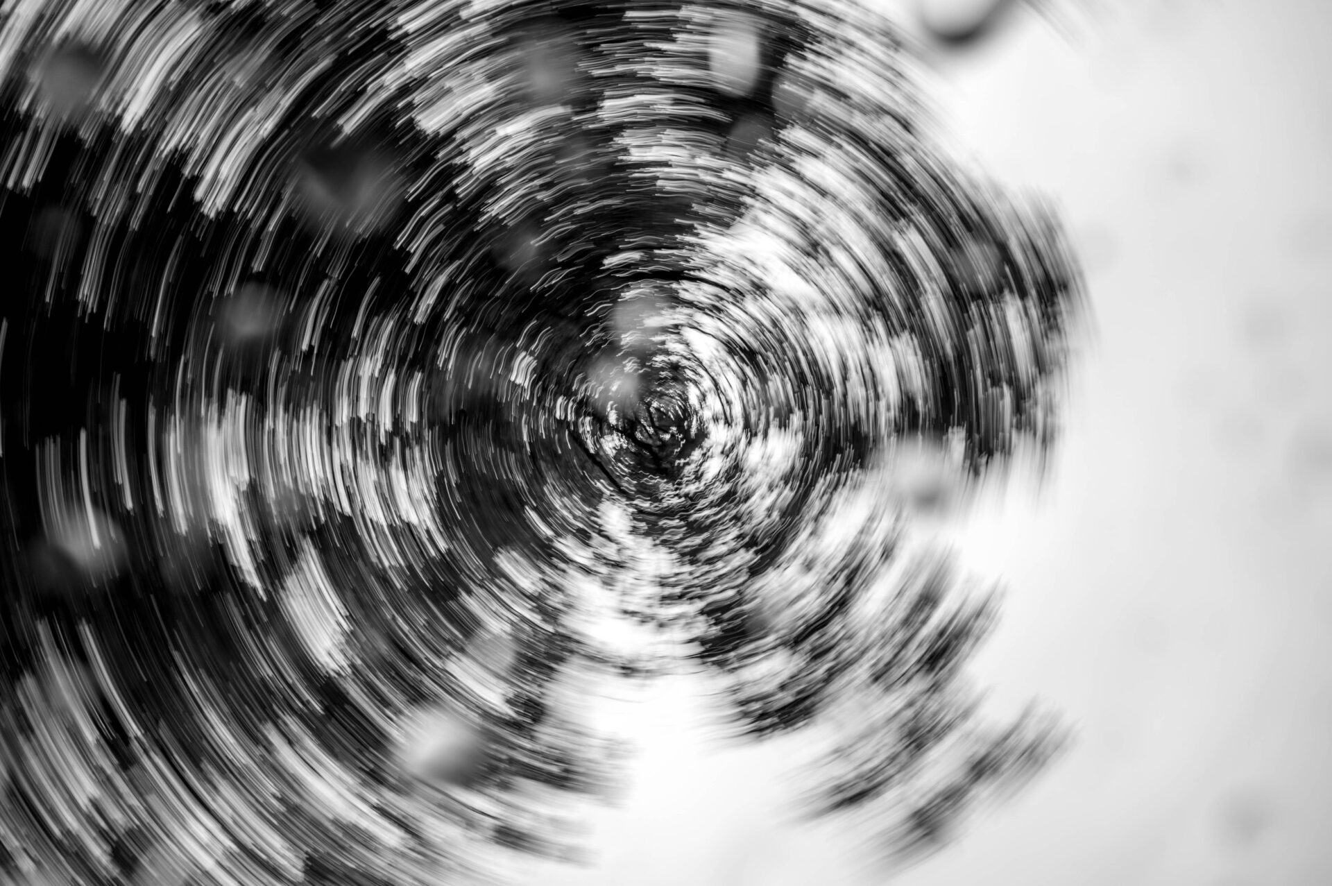 Experimentele fotografie in de regen - bomen vanuit kikkerperspectief