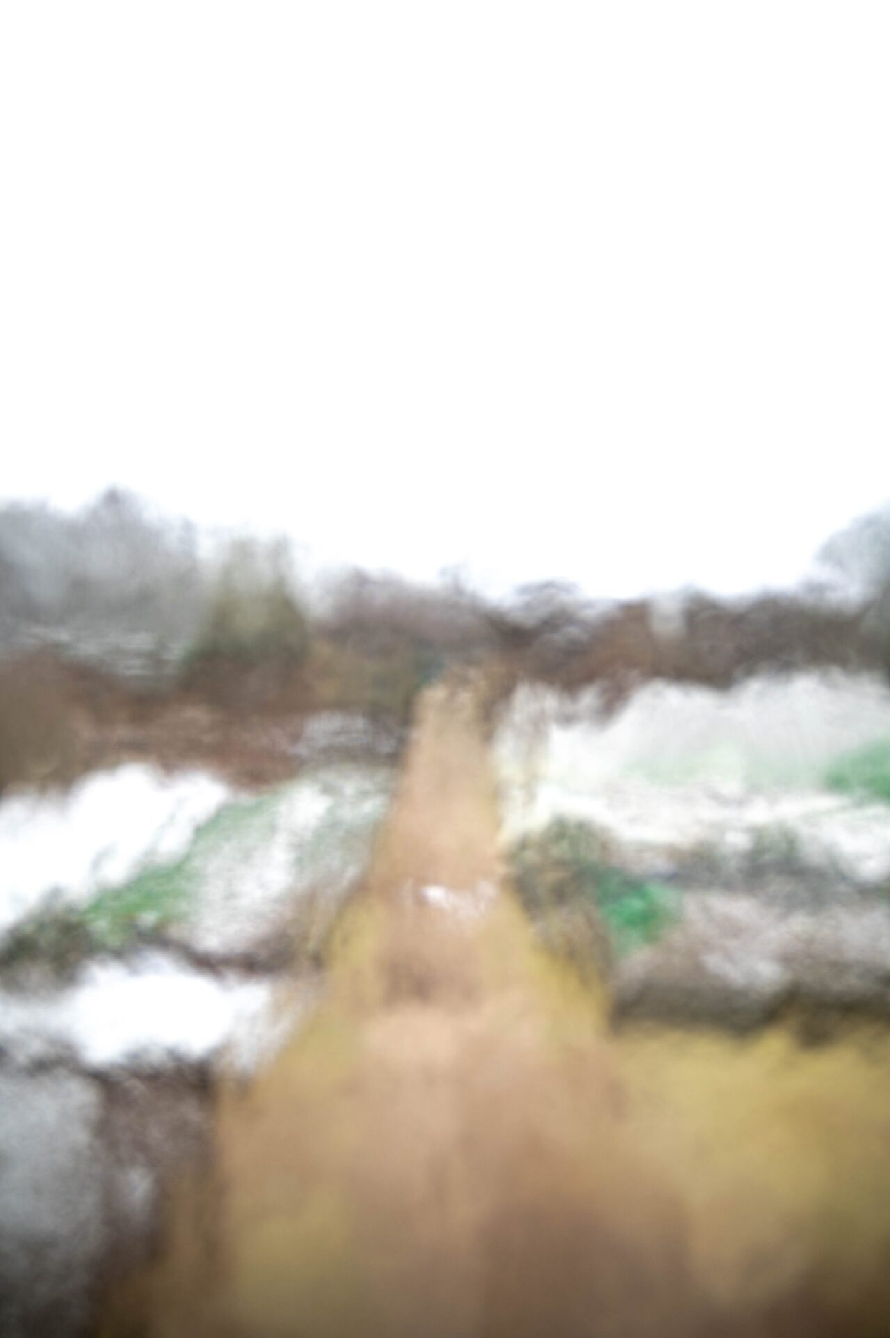 Wanneer een foto een schilderij wordt - Dromerige sfeer - Aardse kleuren