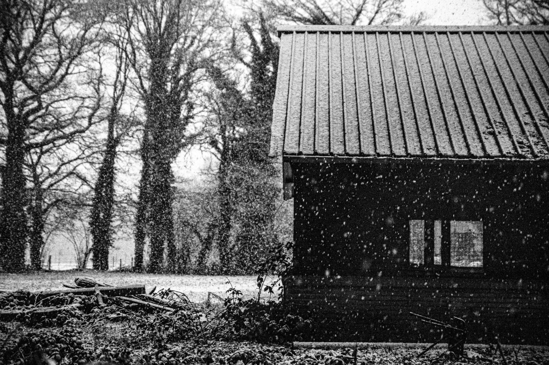 Sneeuw in België - Winterwonderland