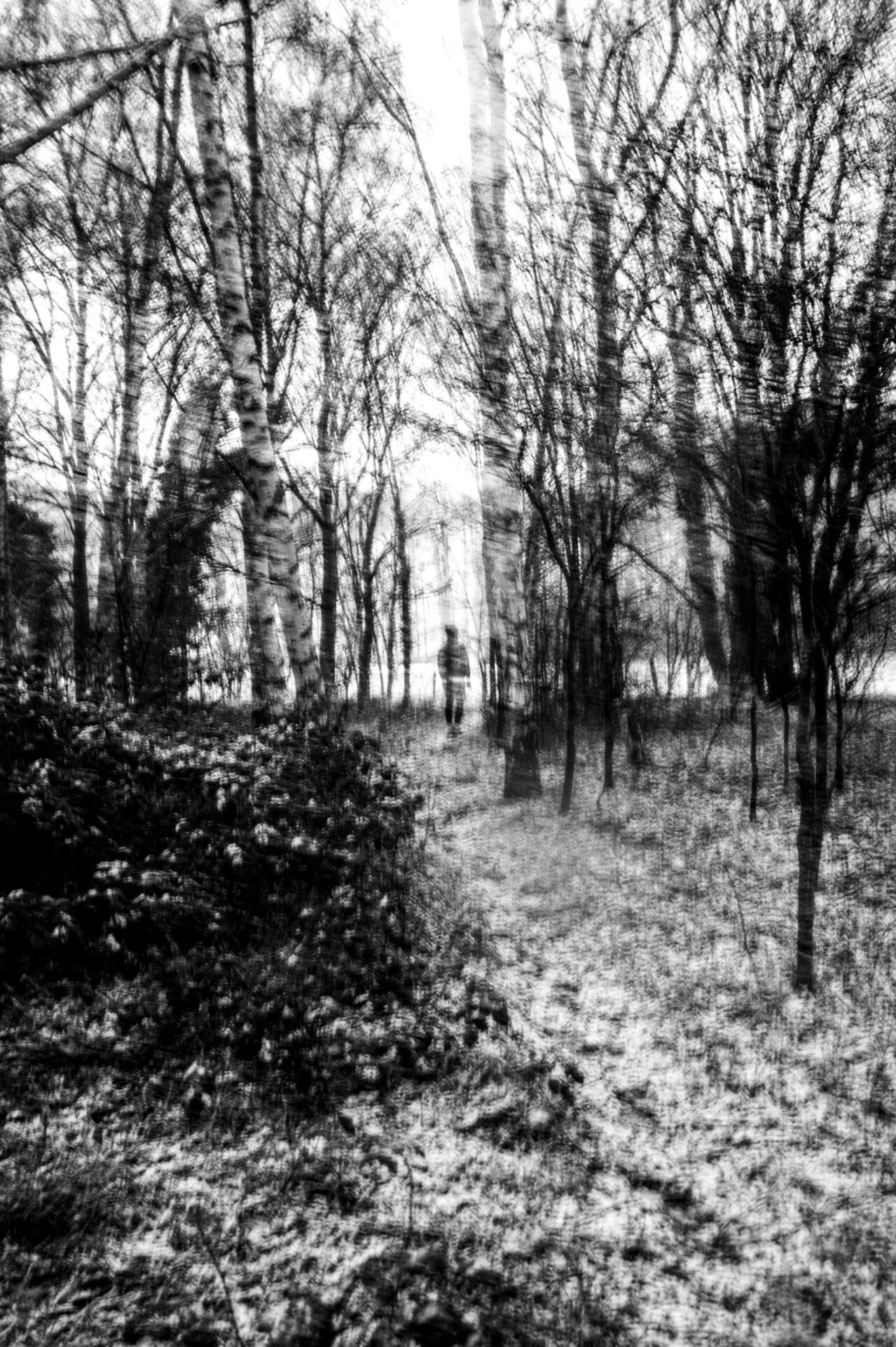 Man wandelt in sneeuwstorm - Winterwonderland - winterlandschap