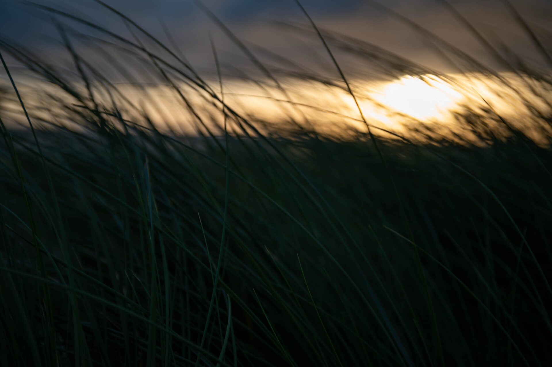Zonsondergang Oostende - puur - mooi - duinen in de wind